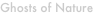 shapeimage_1_link_0
